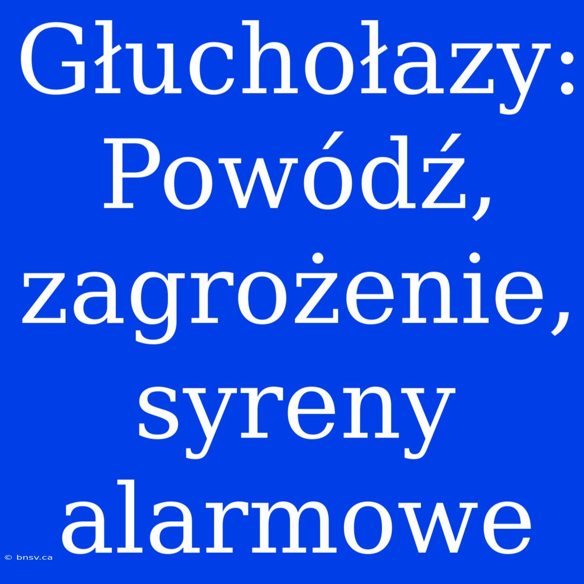 Głuchołazy: Powódź, Zagrożenie, Syreny Alarmowe