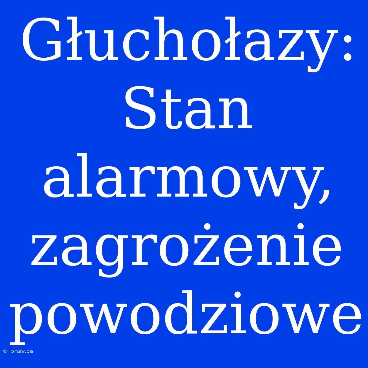 Głuchołazy: Stan Alarmowy, Zagrożenie Powodziowe