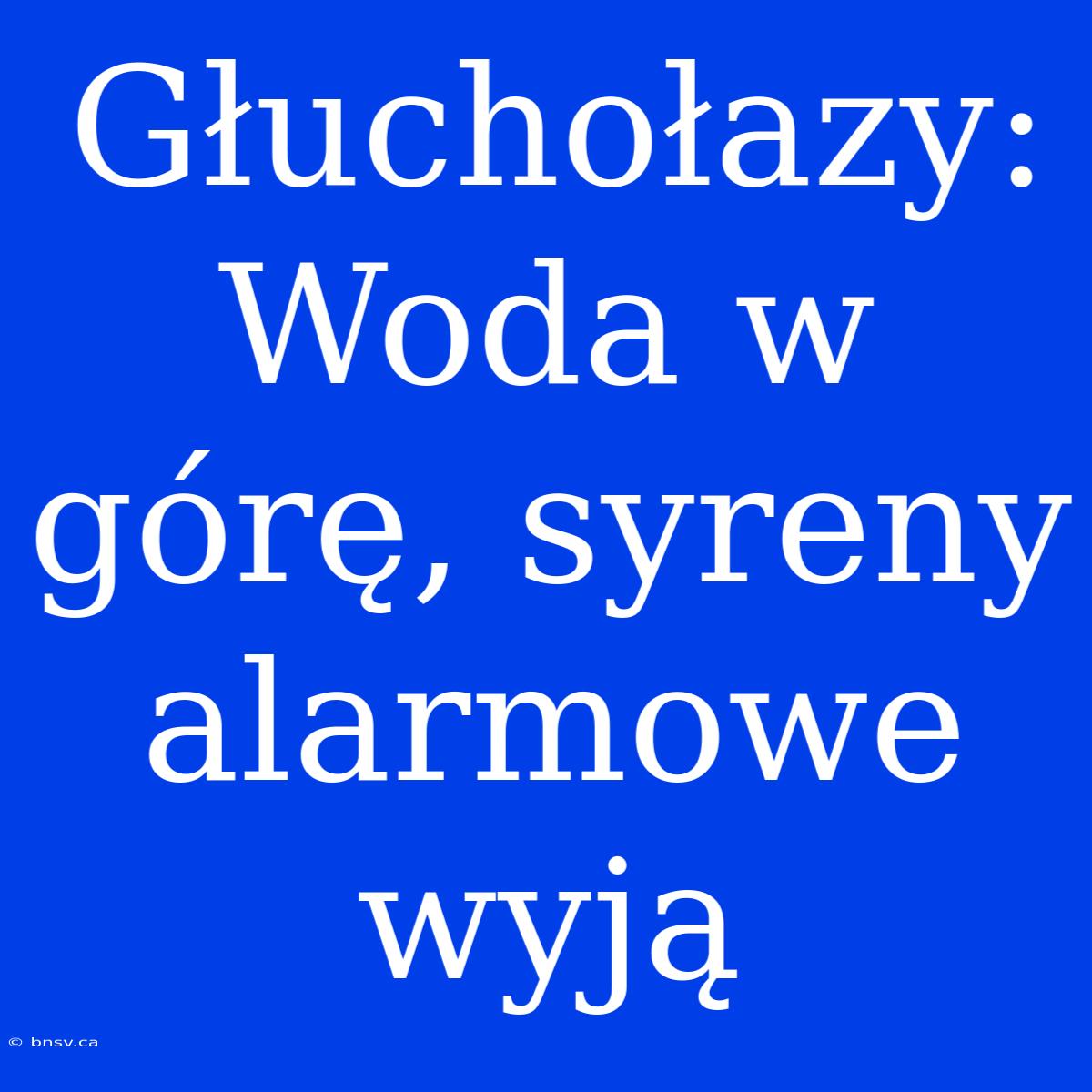 Głuchołazy: Woda W Górę, Syreny Alarmowe Wyją