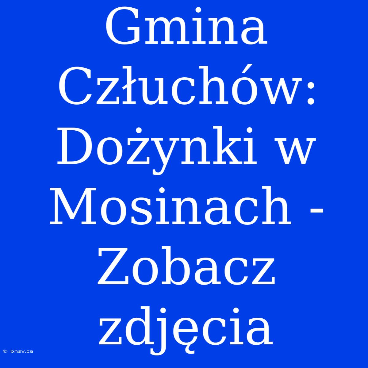 Gmina Człuchów: Dożynki W Mosinach - Zobacz Zdjęcia