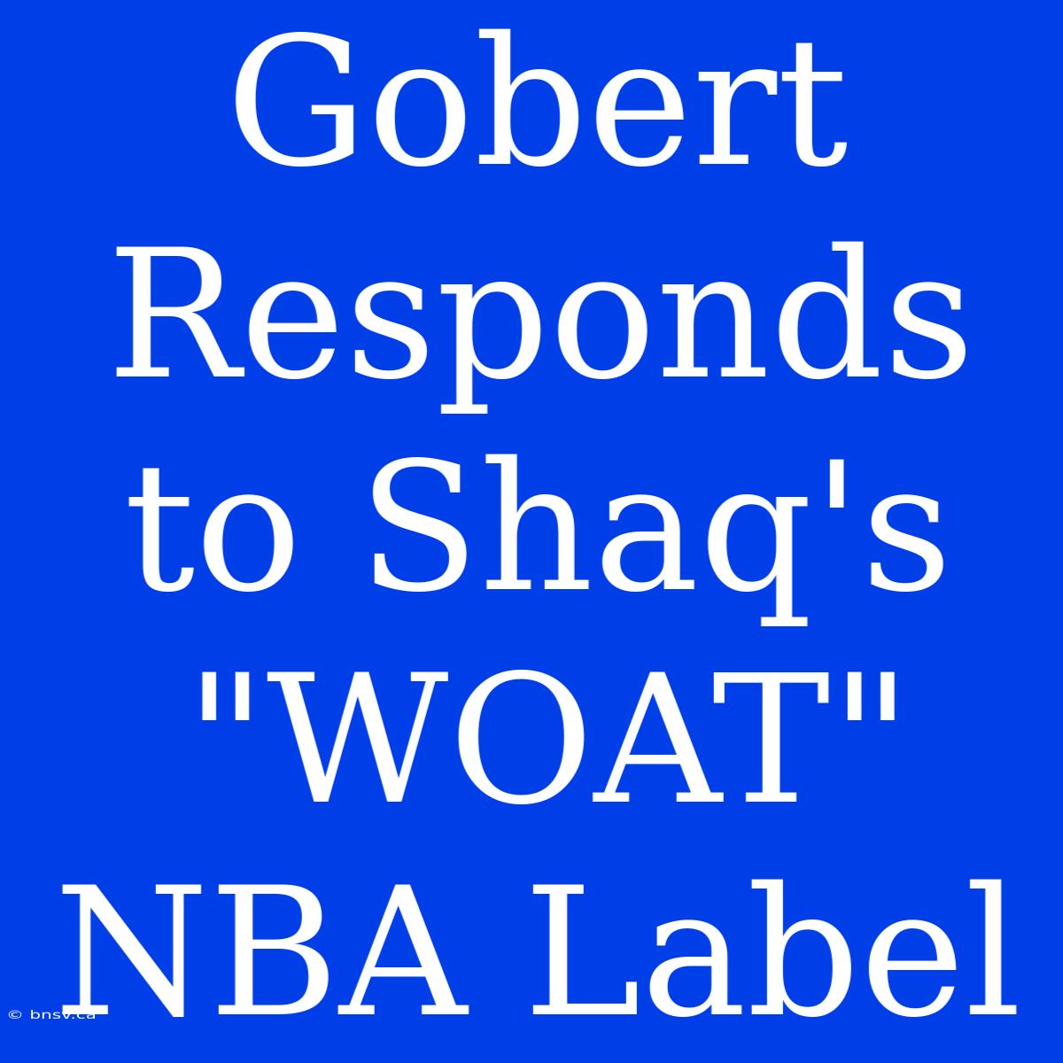 Gobert Responds To Shaq's 