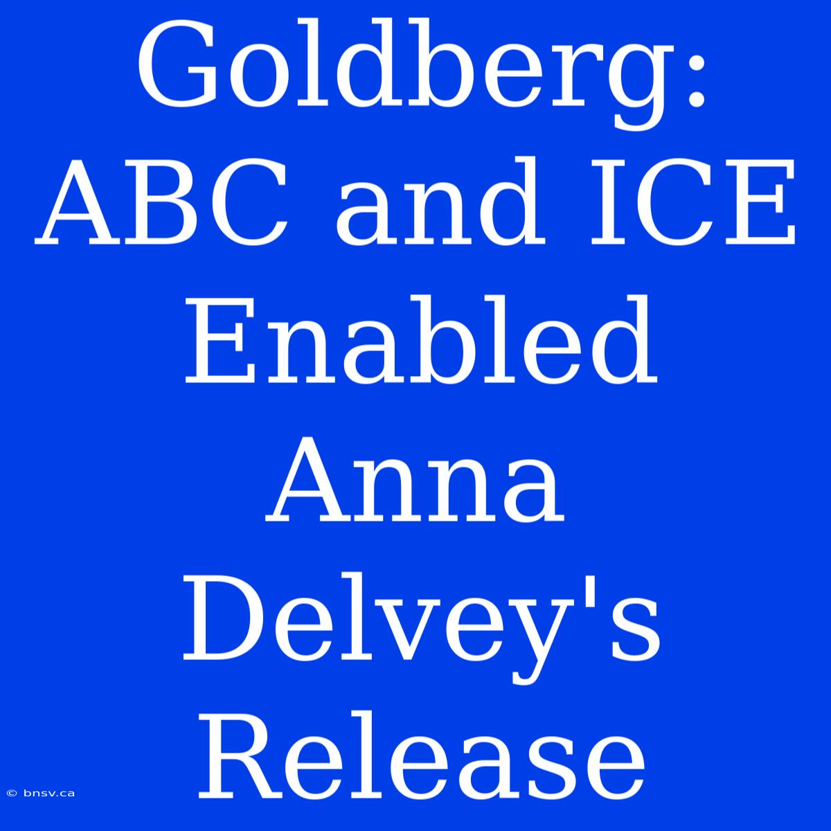 Goldberg: ABC And ICE Enabled Anna Delvey's Release