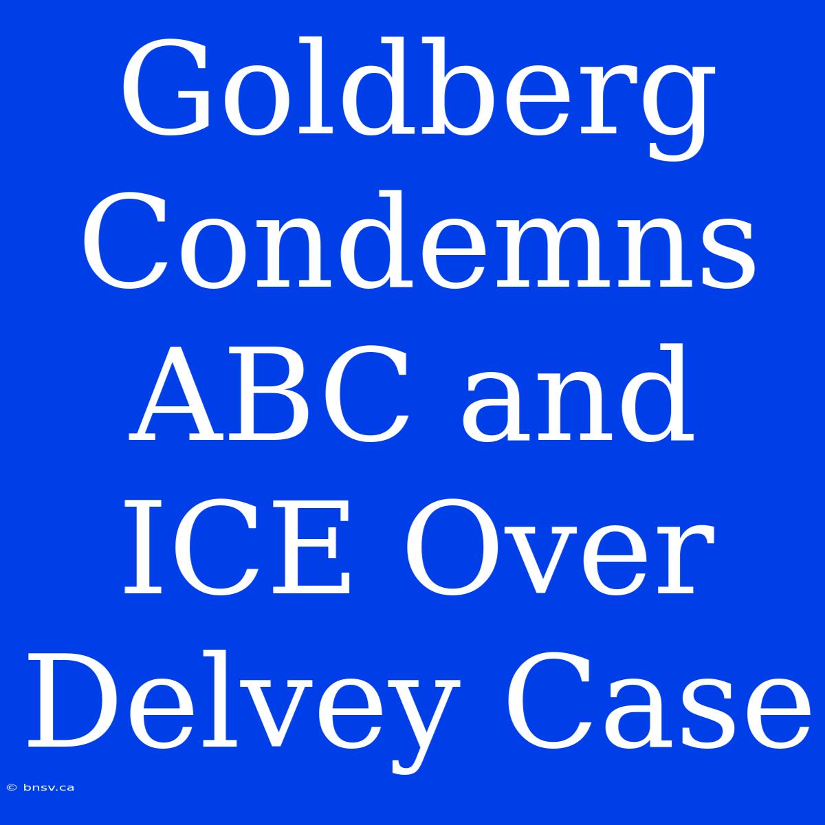 Goldberg Condemns ABC And ICE Over Delvey Case