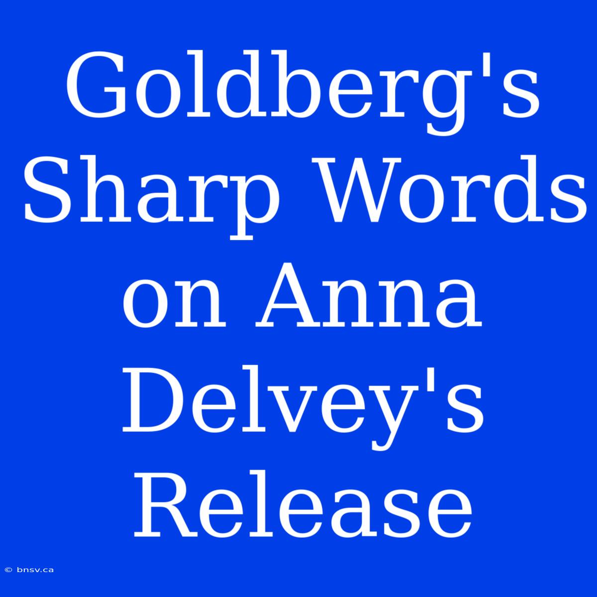 Goldberg's Sharp Words On Anna Delvey's Release