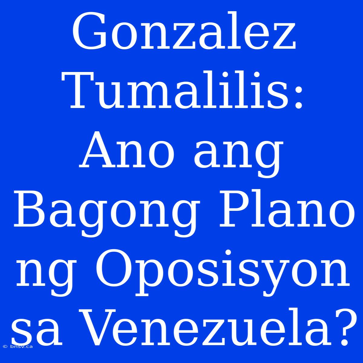 Gonzalez Tumalilis: Ano Ang Bagong Plano Ng Oposisyon Sa Venezuela?