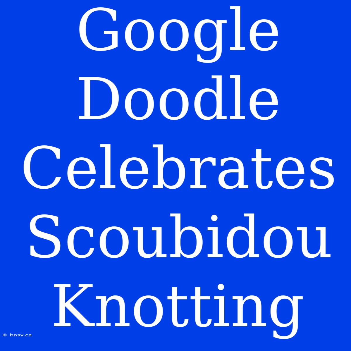 Google Doodle Celebrates Scoubidou Knotting