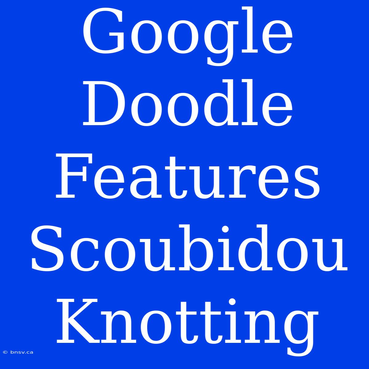 Google Doodle Features Scoubidou Knotting