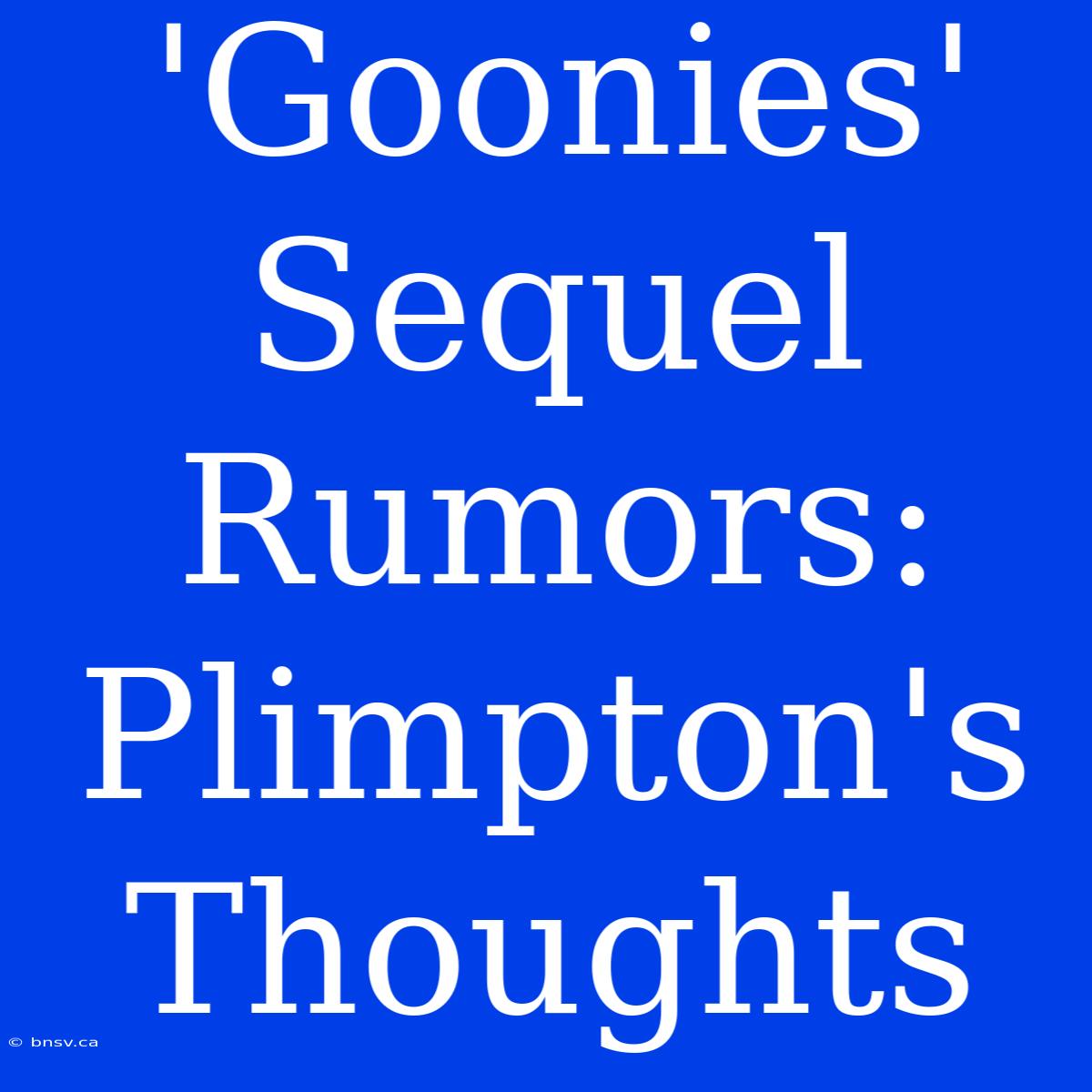 'Goonies' Sequel Rumors: Plimpton's Thoughts