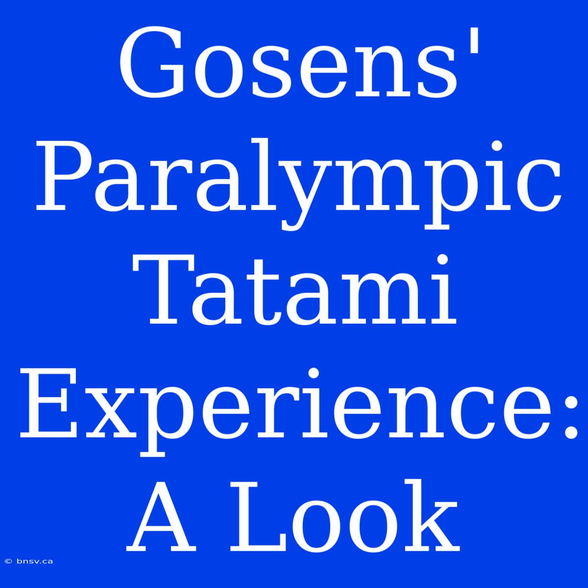 Gosens' Paralympic Tatami Experience: A Look