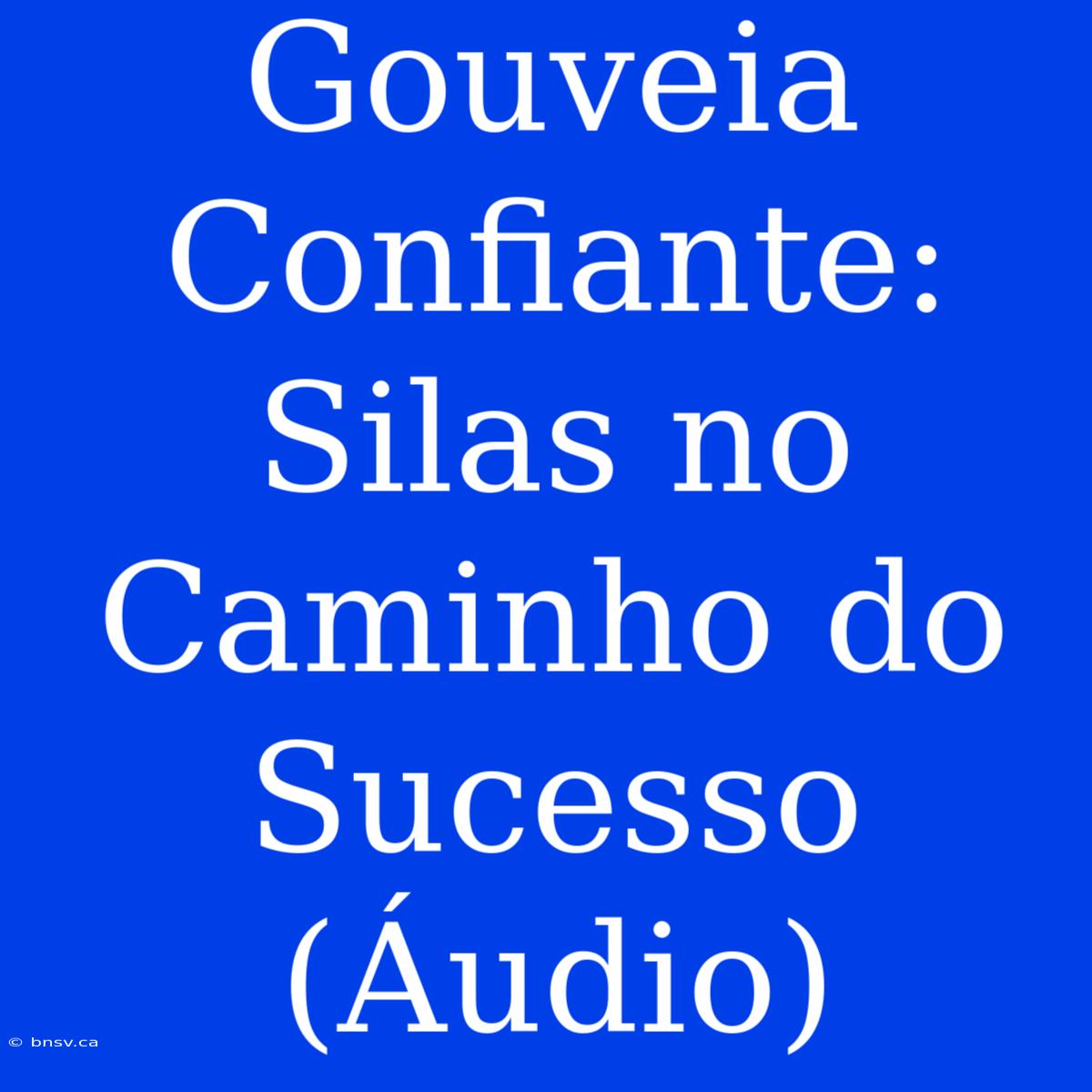 Gouveia Confiante: Silas No Caminho Do Sucesso (Áudio)