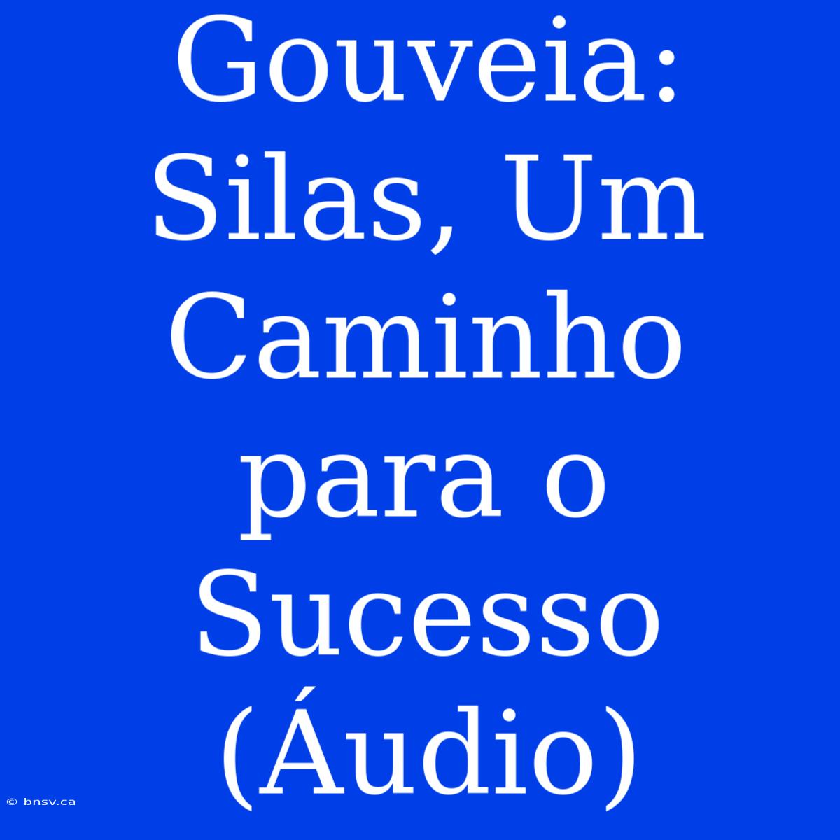 Gouveia: Silas, Um Caminho Para O Sucesso (Áudio)