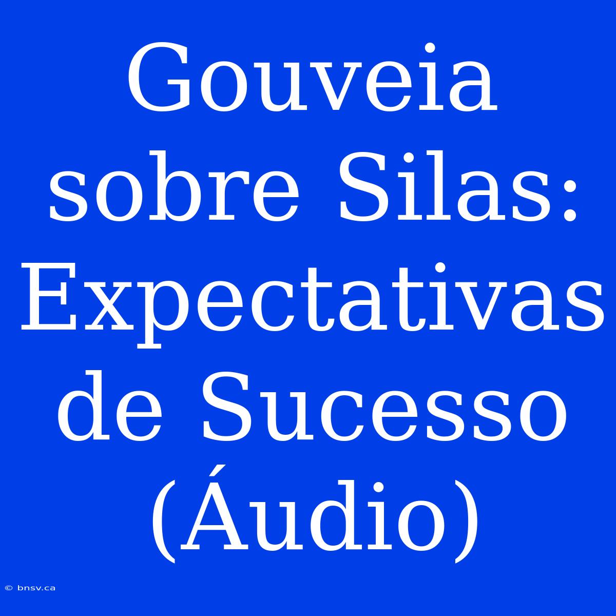 Gouveia Sobre Silas: Expectativas De Sucesso (Áudio)