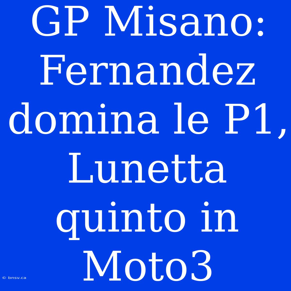 GP Misano: Fernandez Domina Le P1, Lunetta Quinto In Moto3