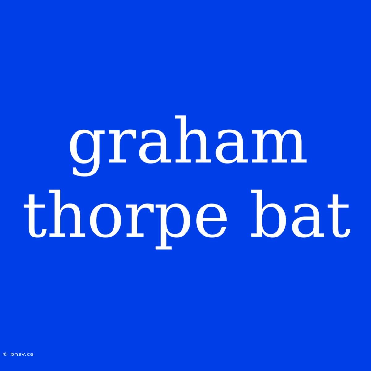 Graham Thorpe Bat