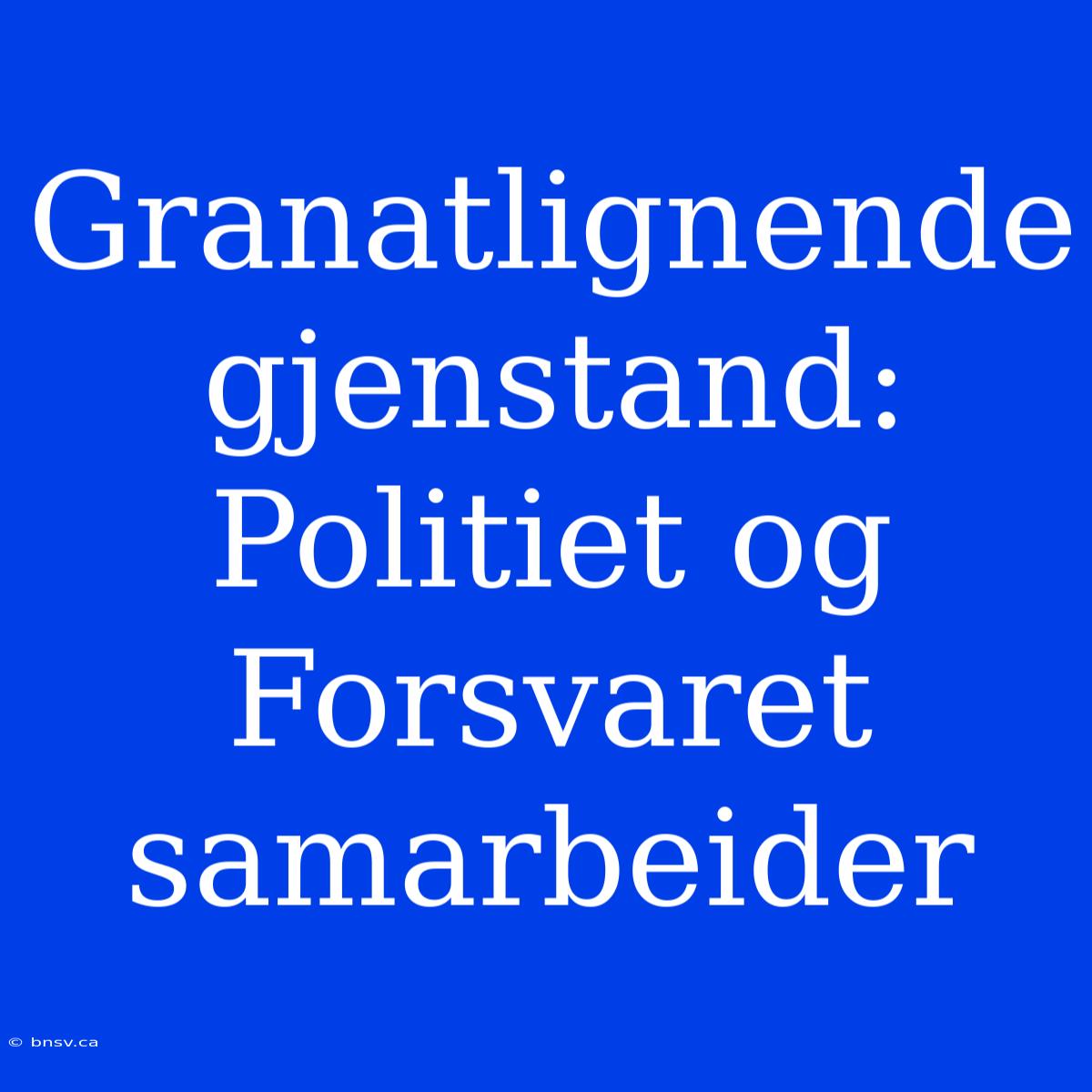 Granatlignende Gjenstand: Politiet Og Forsvaret Samarbeider