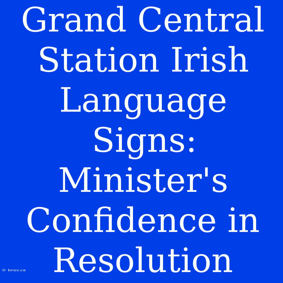 Grand Central Station Irish Language Signs: Minister's Confidence In Resolution