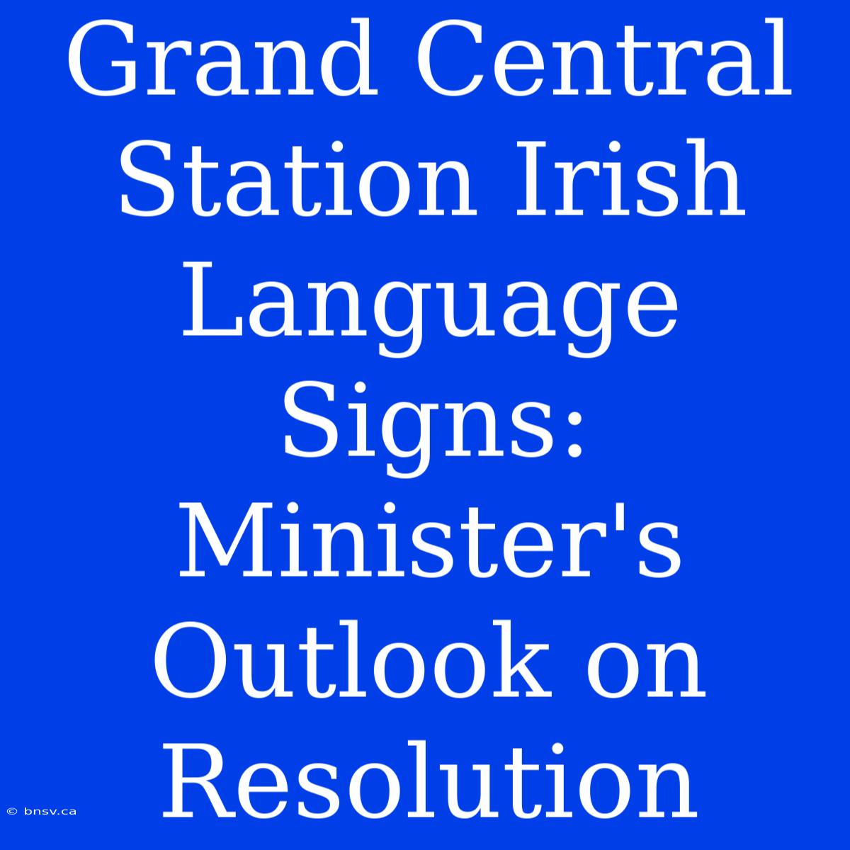 Grand Central Station Irish Language Signs: Minister's Outlook On Resolution