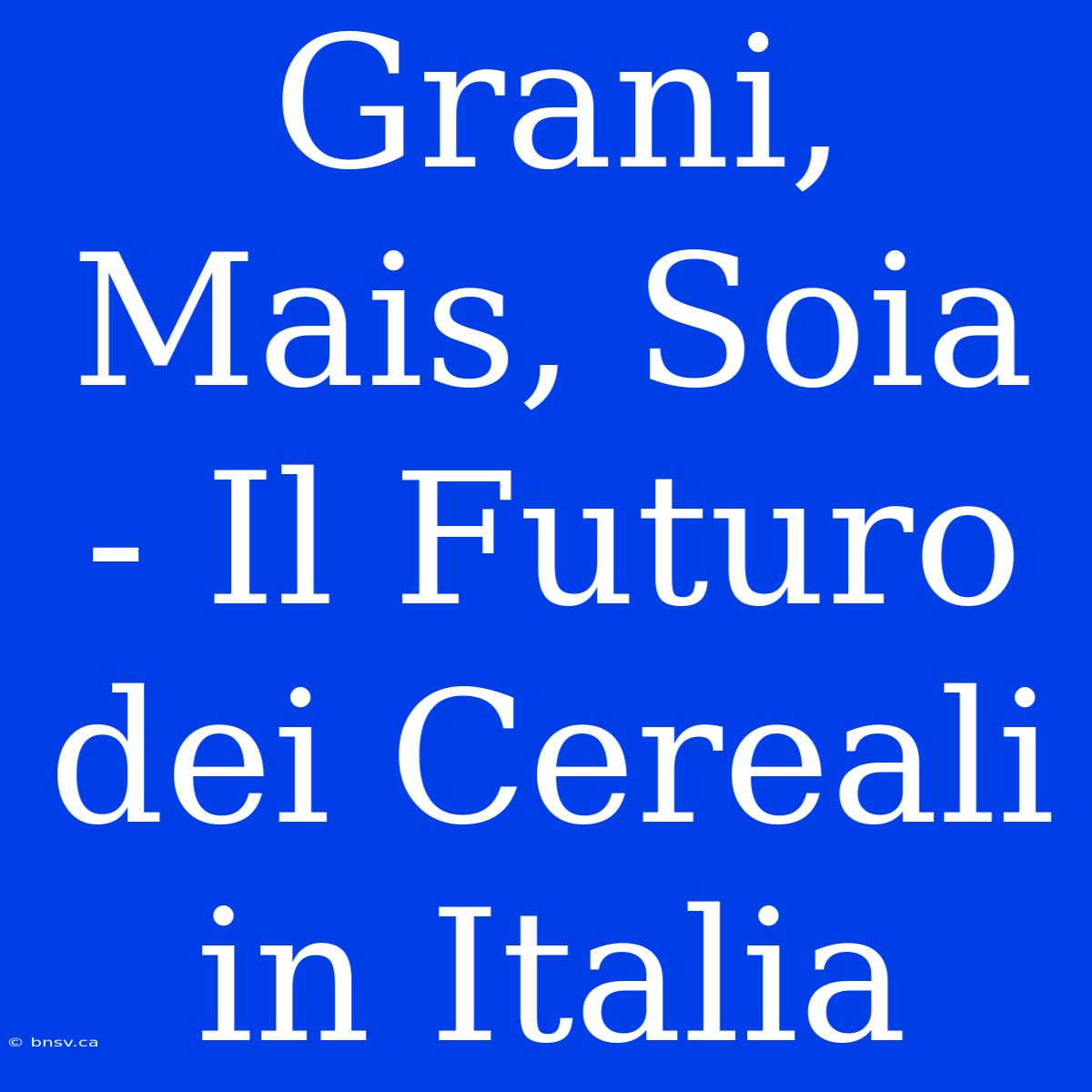 Grani, Mais, Soia - Il Futuro Dei Cereali In Italia