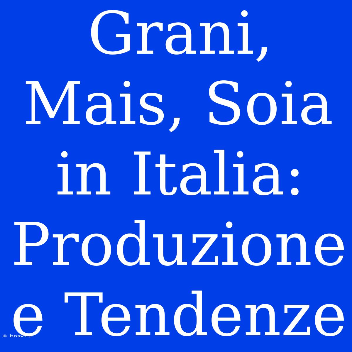 Grani, Mais, Soia In Italia: Produzione E Tendenze