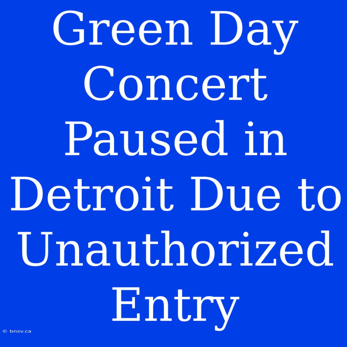 Green Day Concert Paused In Detroit Due To Unauthorized Entry