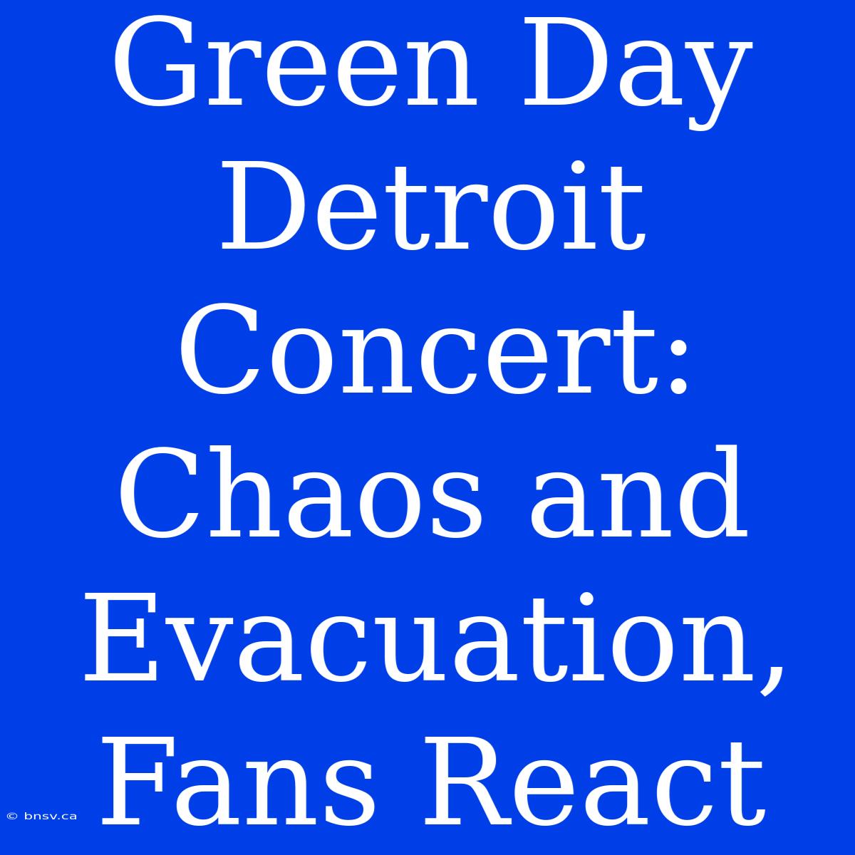 Green Day Detroit Concert:  Chaos And Evacuation, Fans React