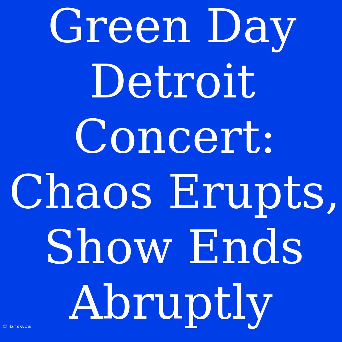 Green Day Detroit Concert: Chaos Erupts, Show Ends Abruptly