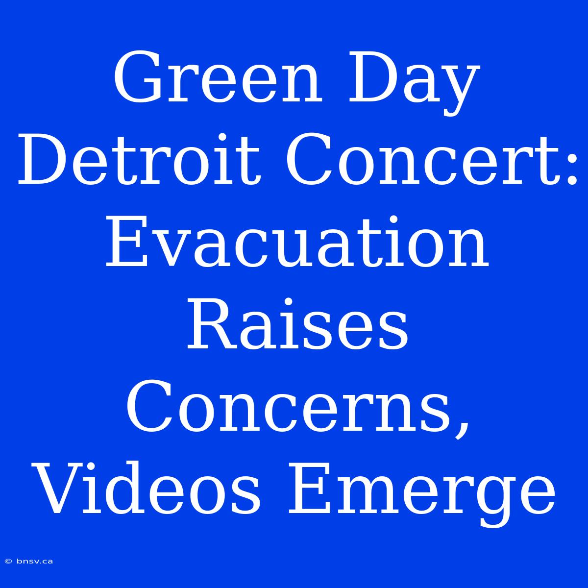 Green Day Detroit Concert: Evacuation Raises Concerns, Videos Emerge