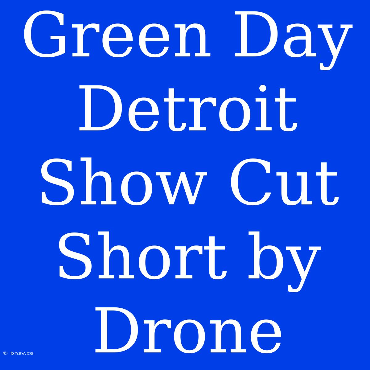 Green Day Detroit Show Cut Short By Drone