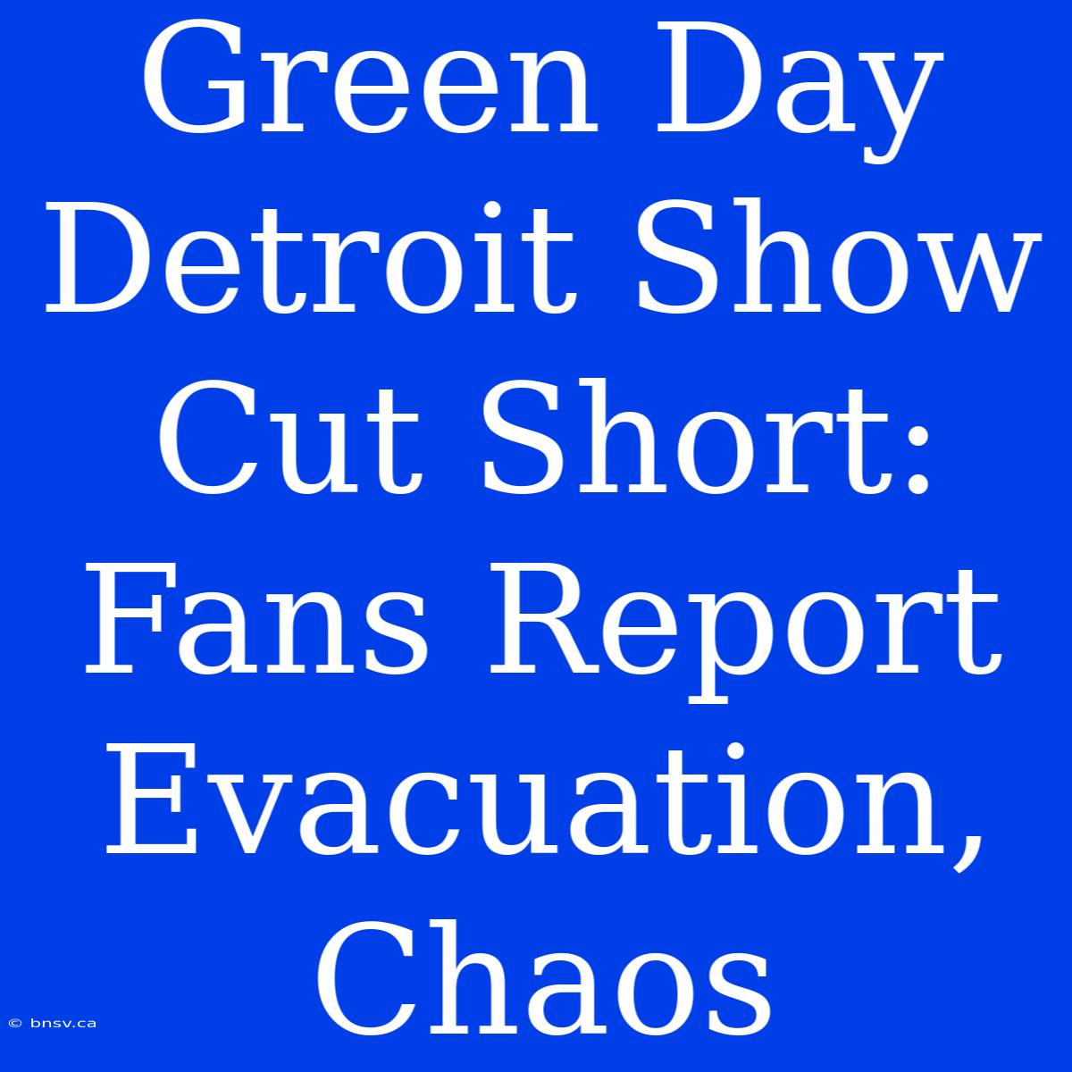 Green Day Detroit Show Cut Short: Fans Report Evacuation, Chaos