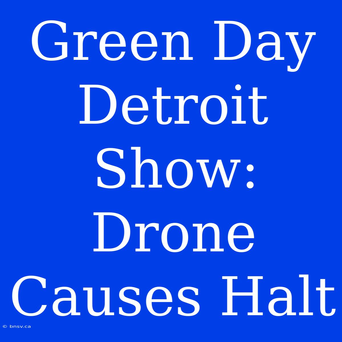 Green Day Detroit Show: Drone Causes Halt