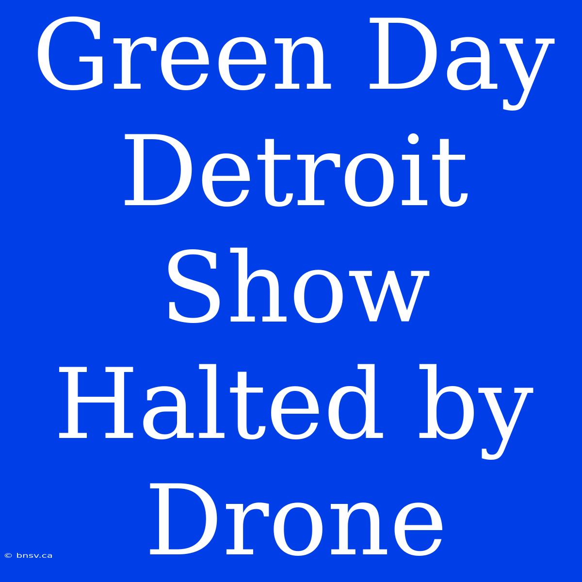 Green Day Detroit Show Halted By Drone