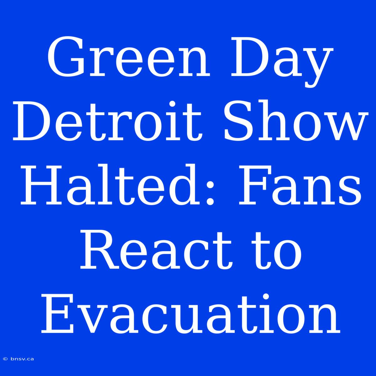 Green Day Detroit Show Halted: Fans React To Evacuation