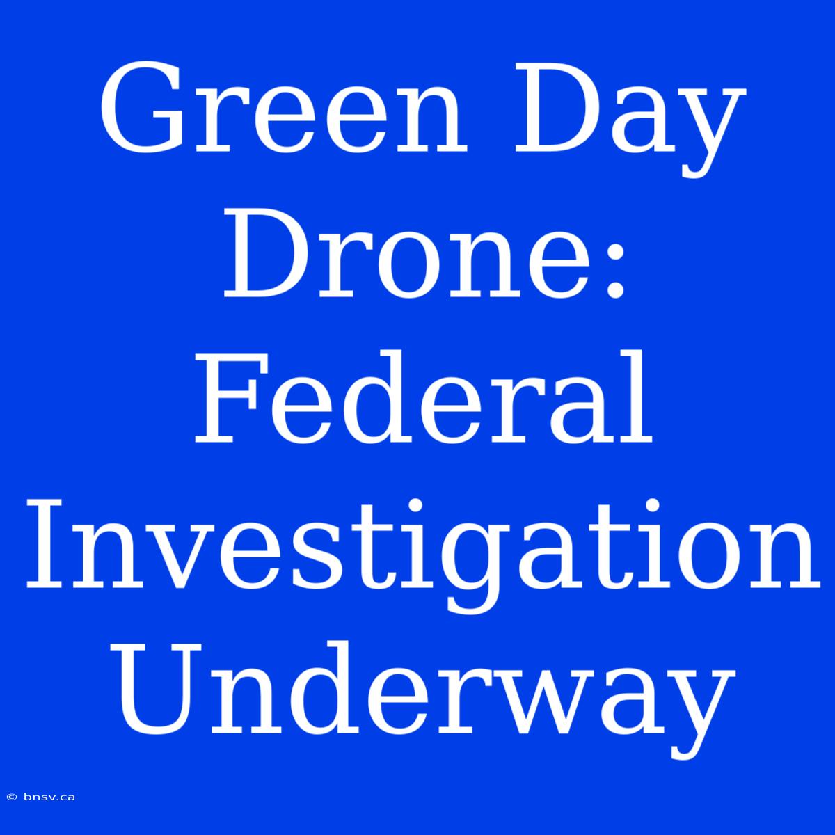 Green Day Drone: Federal Investigation Underway