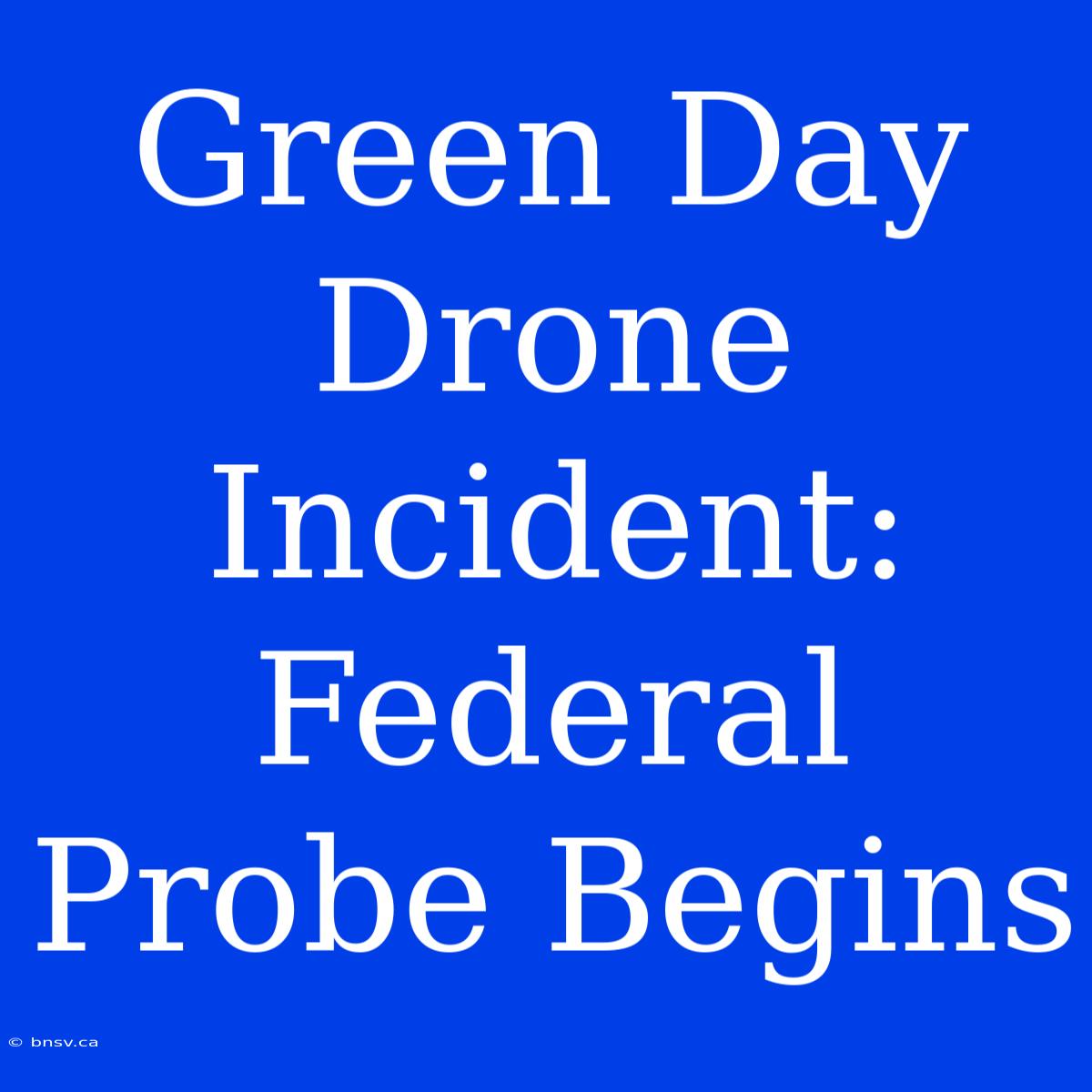 Green Day Drone Incident: Federal Probe Begins