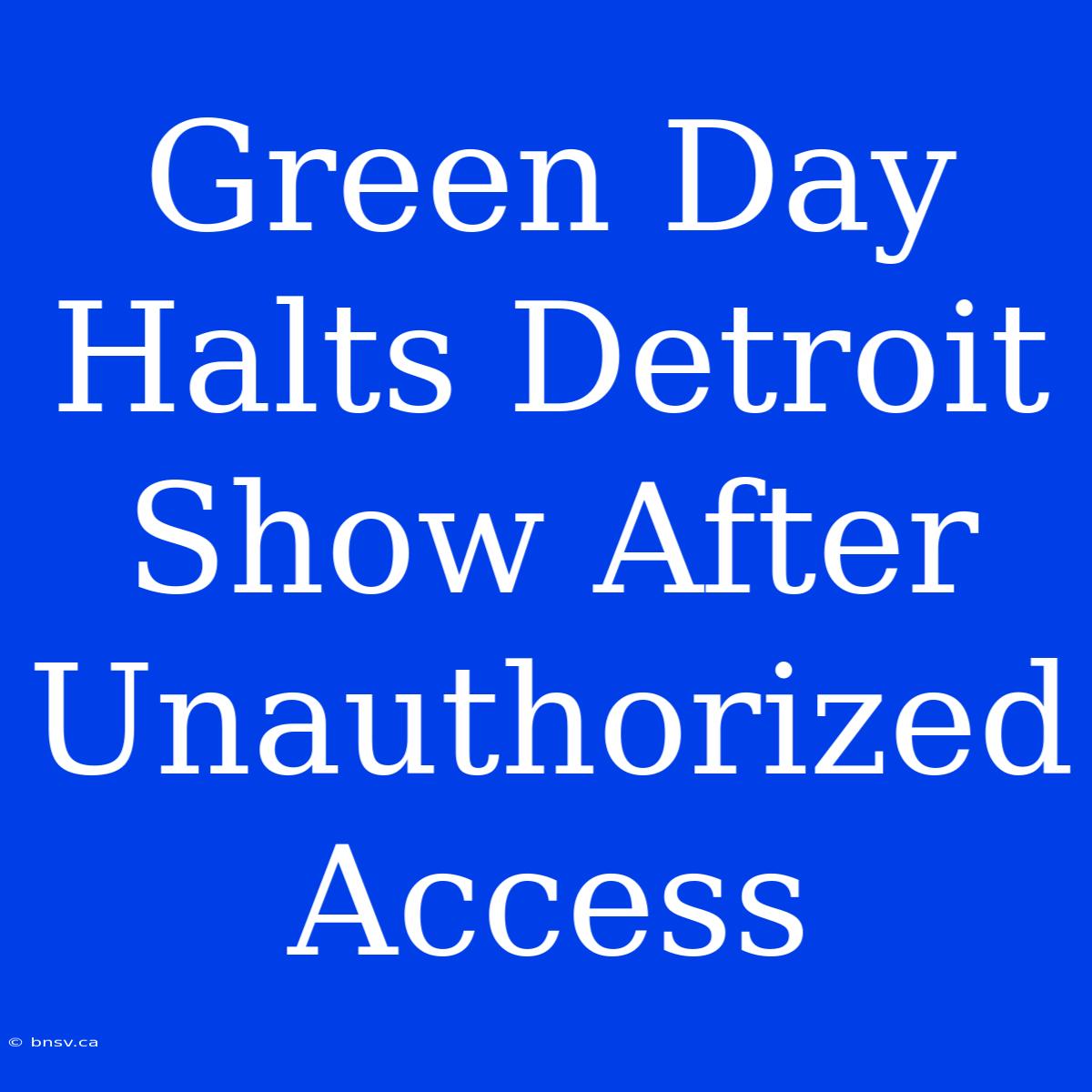 Green Day Halts Detroit Show After Unauthorized Access