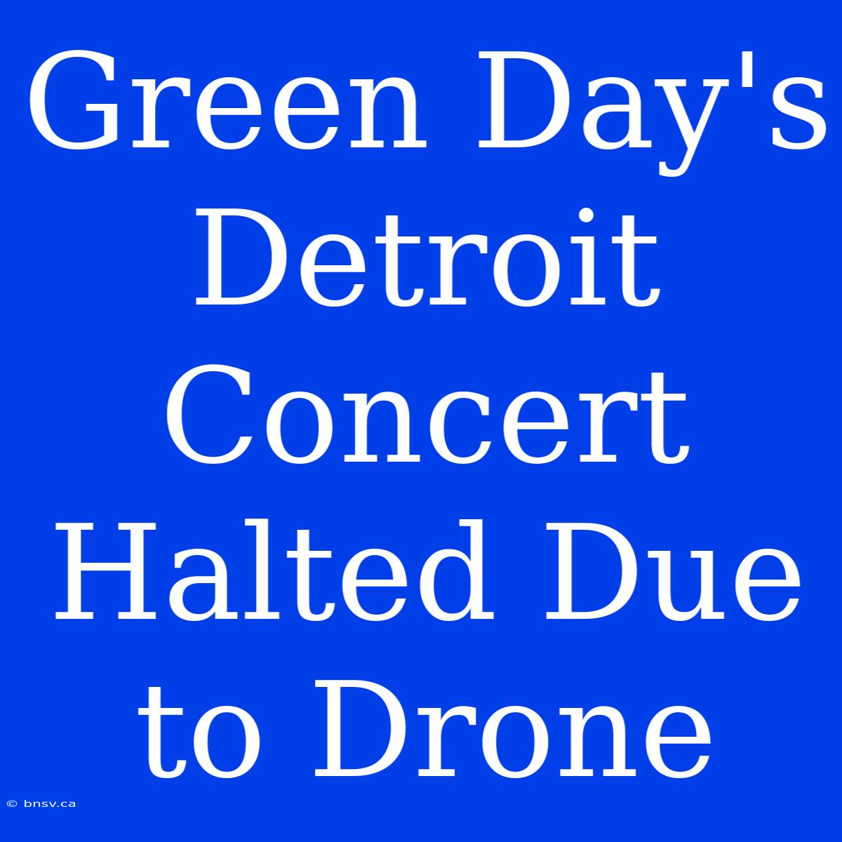 Green Day's Detroit Concert Halted Due To Drone