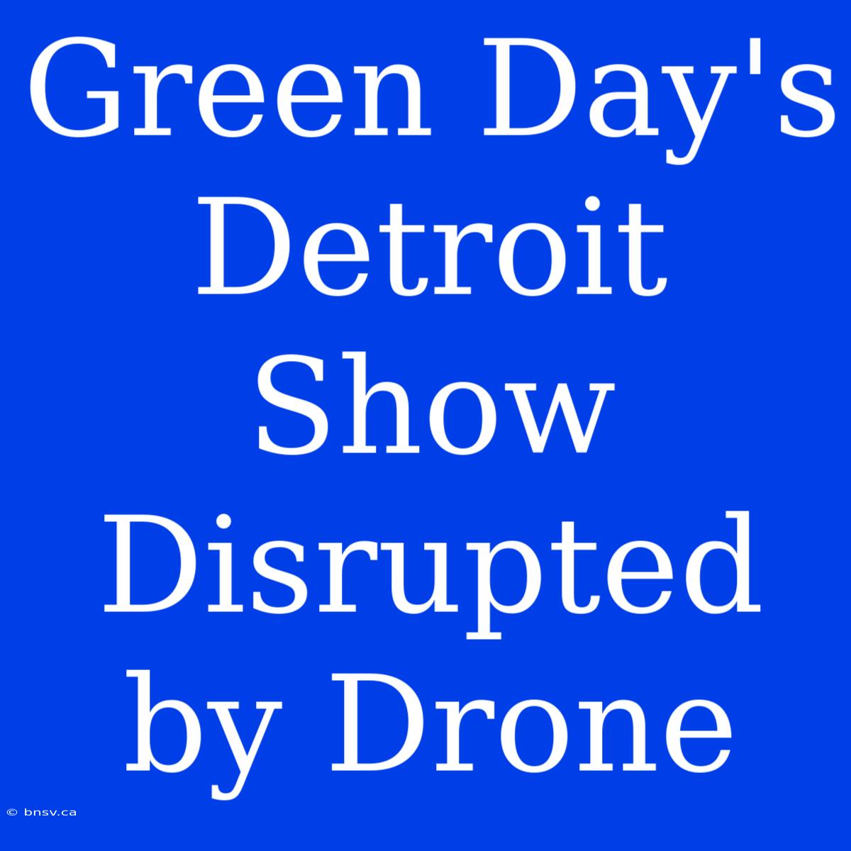 Green Day's Detroit Show Disrupted By Drone