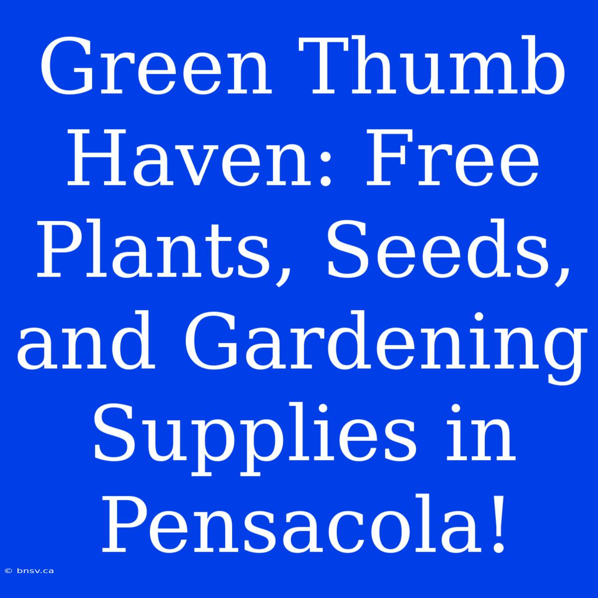 Green Thumb Haven: Free Plants, Seeds, And Gardening Supplies In Pensacola!