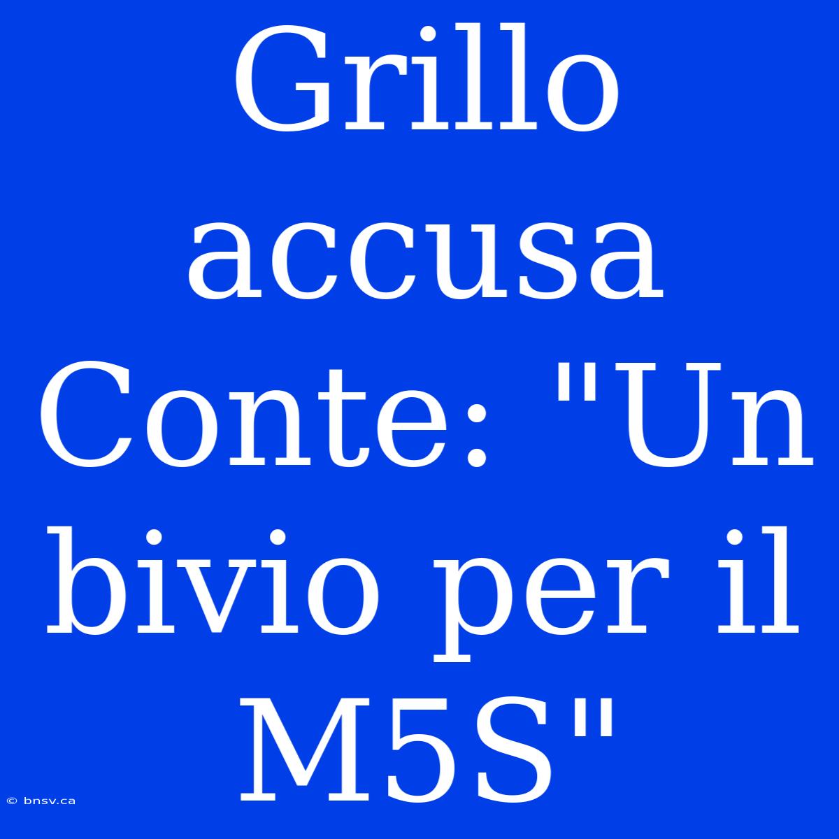 Grillo Accusa Conte: 