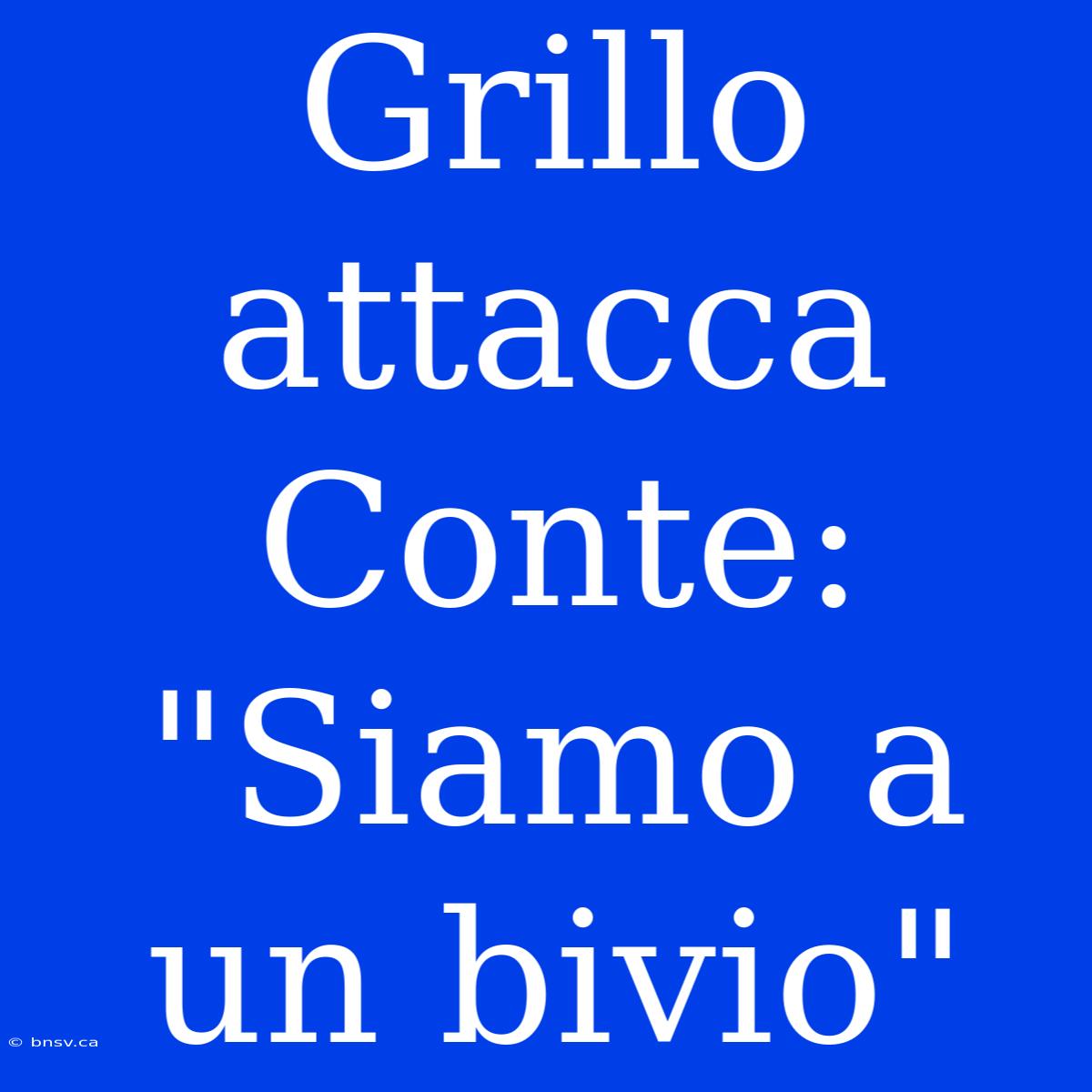 Grillo Attacca Conte: 