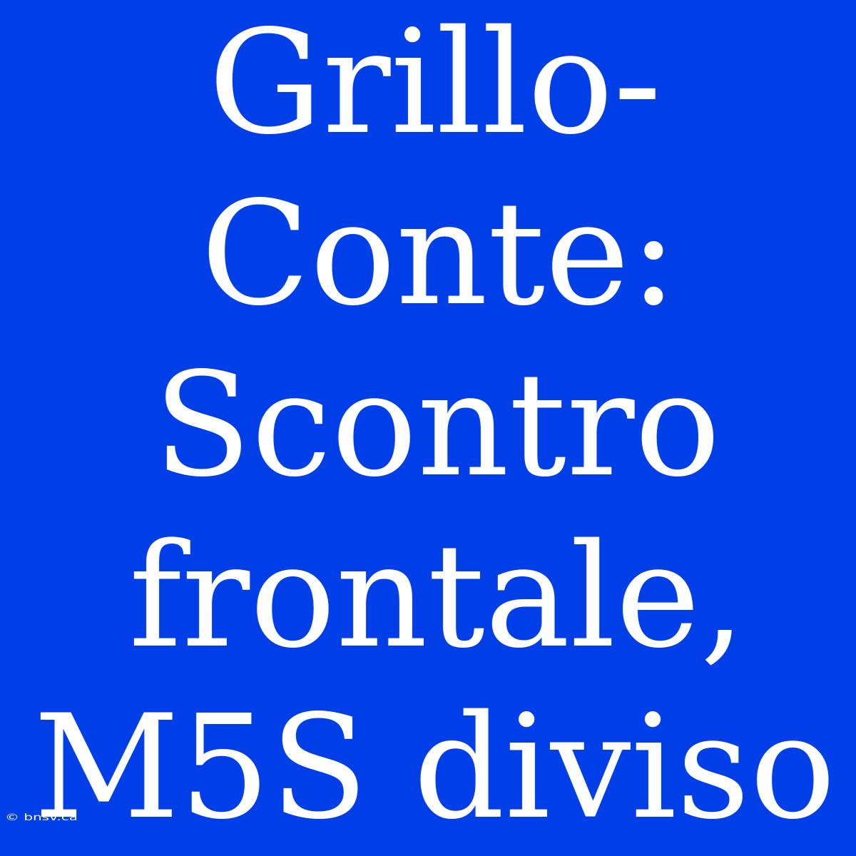 Grillo-Conte: Scontro Frontale, M5S Diviso