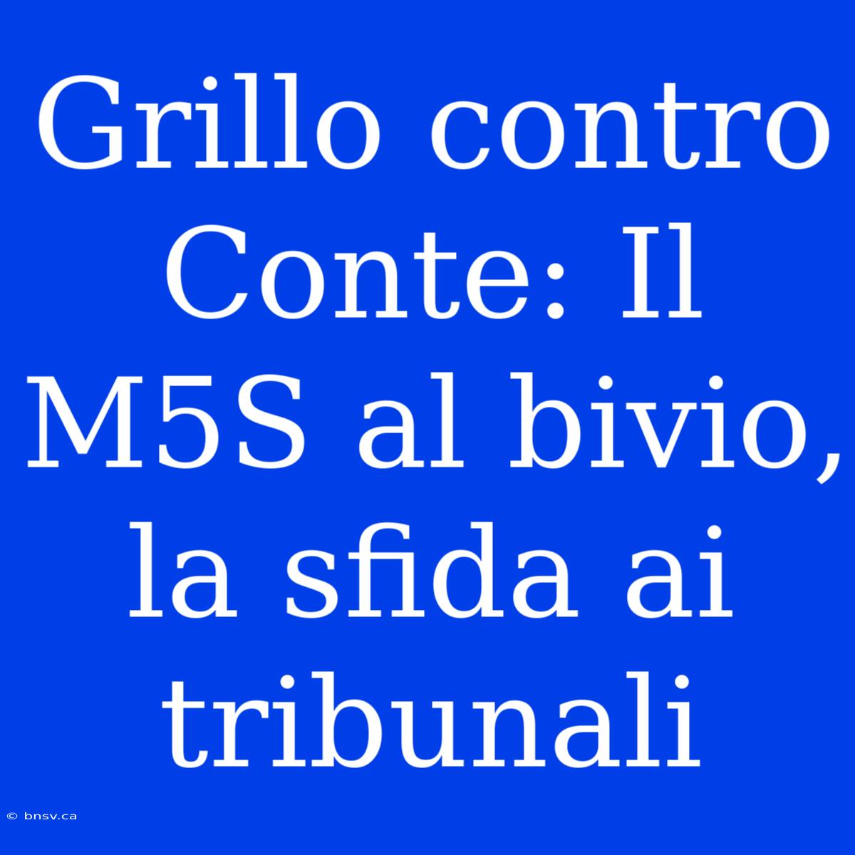 Grillo Contro Conte: Il M5S Al Bivio, La Sfida Ai Tribunali