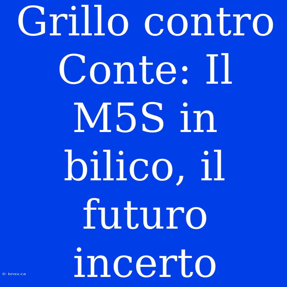 Grillo Contro Conte: Il M5S In Bilico, Il Futuro Incerto