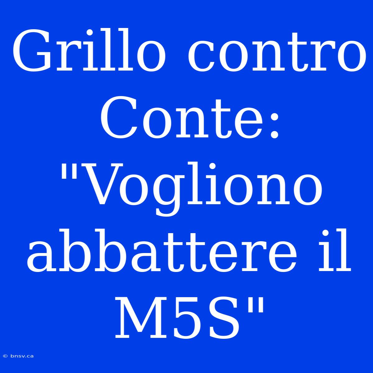 Grillo Contro Conte: 