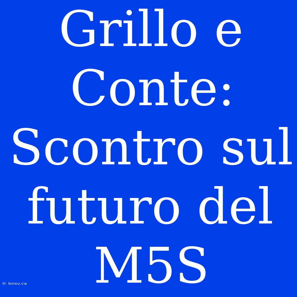 Grillo E Conte: Scontro Sul Futuro Del M5S