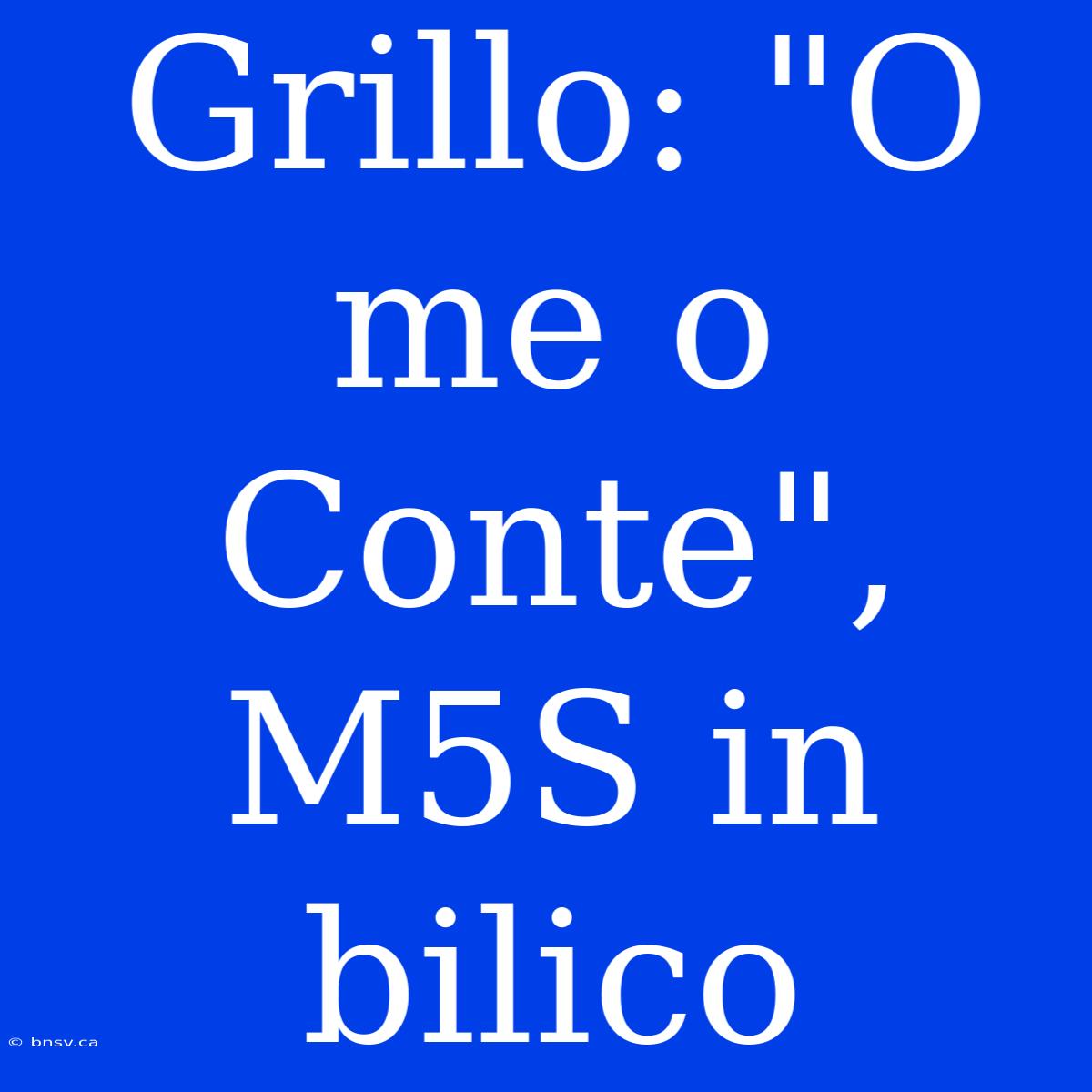 Grillo: 