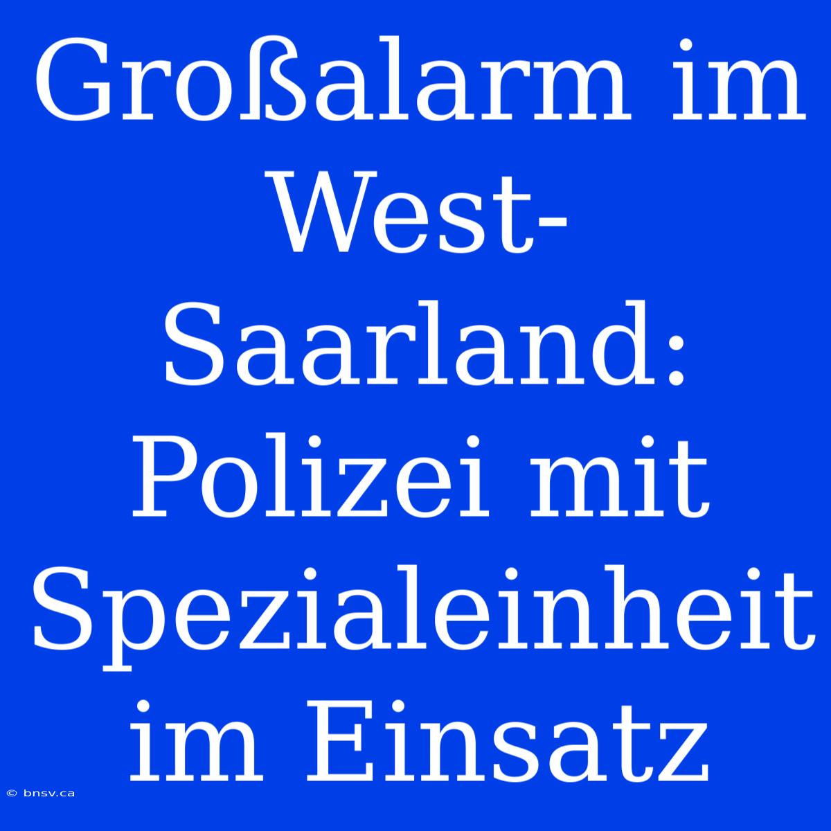 Großalarm Im West-Saarland: Polizei Mit Spezialeinheit Im Einsatz