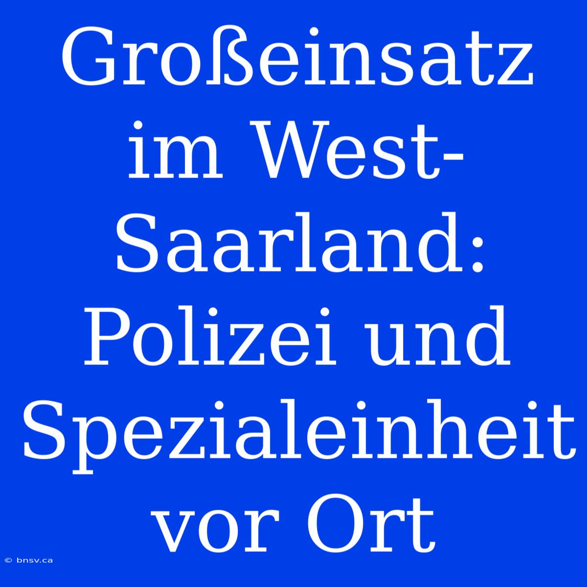 Großeinsatz Im West-Saarland: Polizei Und Spezialeinheit Vor Ort