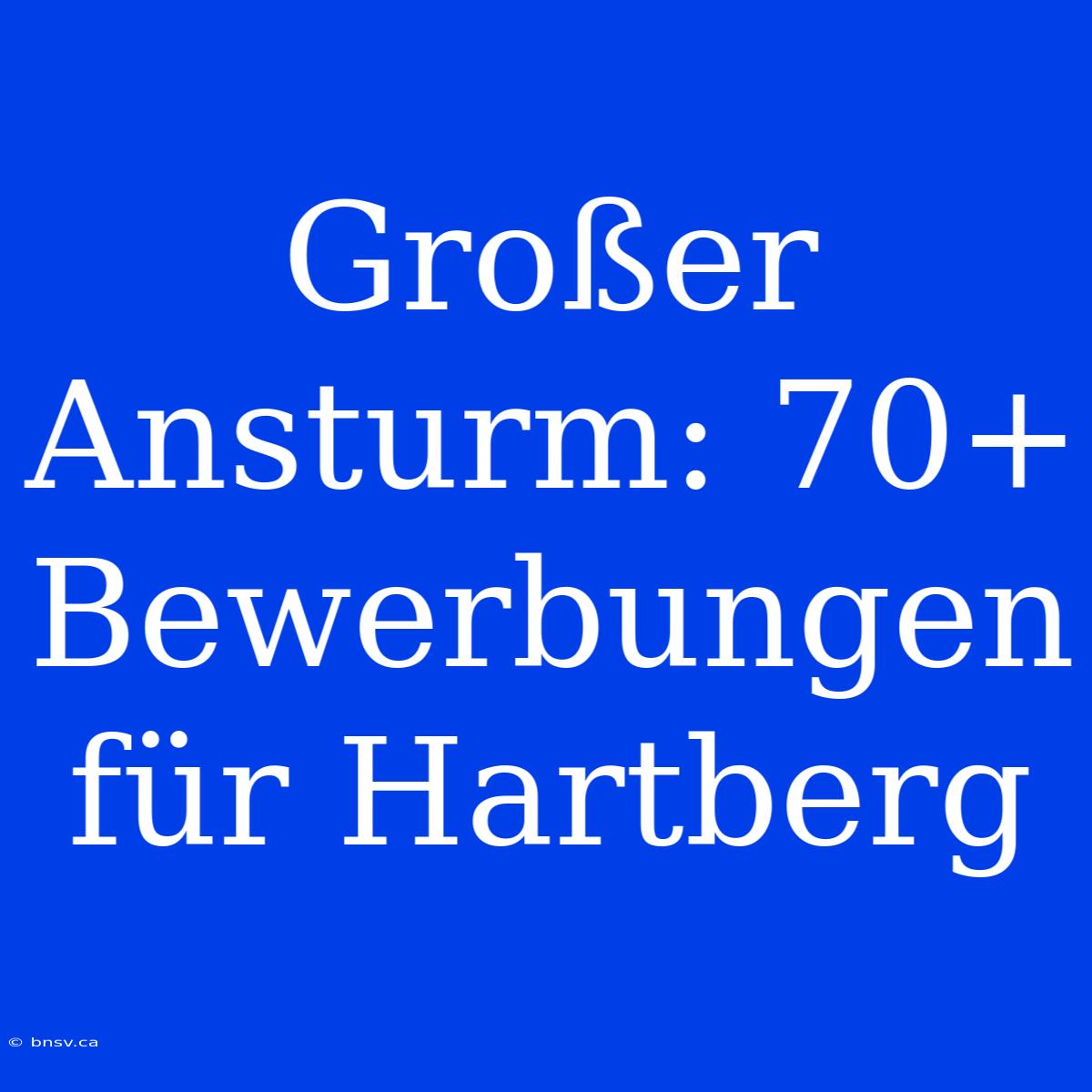 Großer Ansturm: 70+ Bewerbungen Für Hartberg