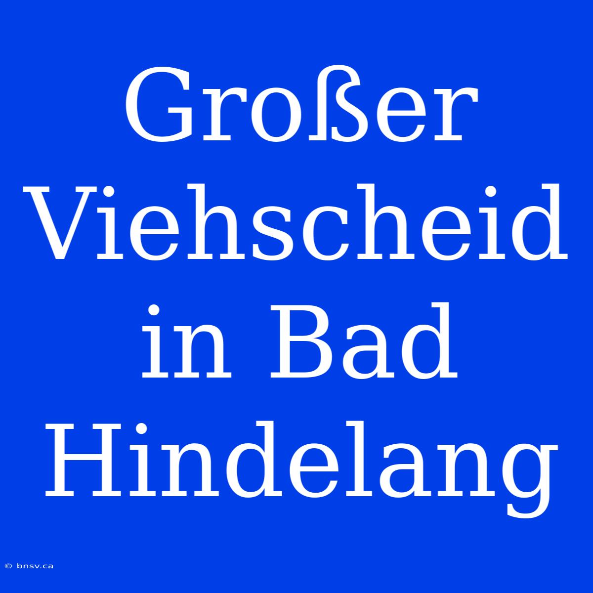 Großer Viehscheid In Bad Hindelang